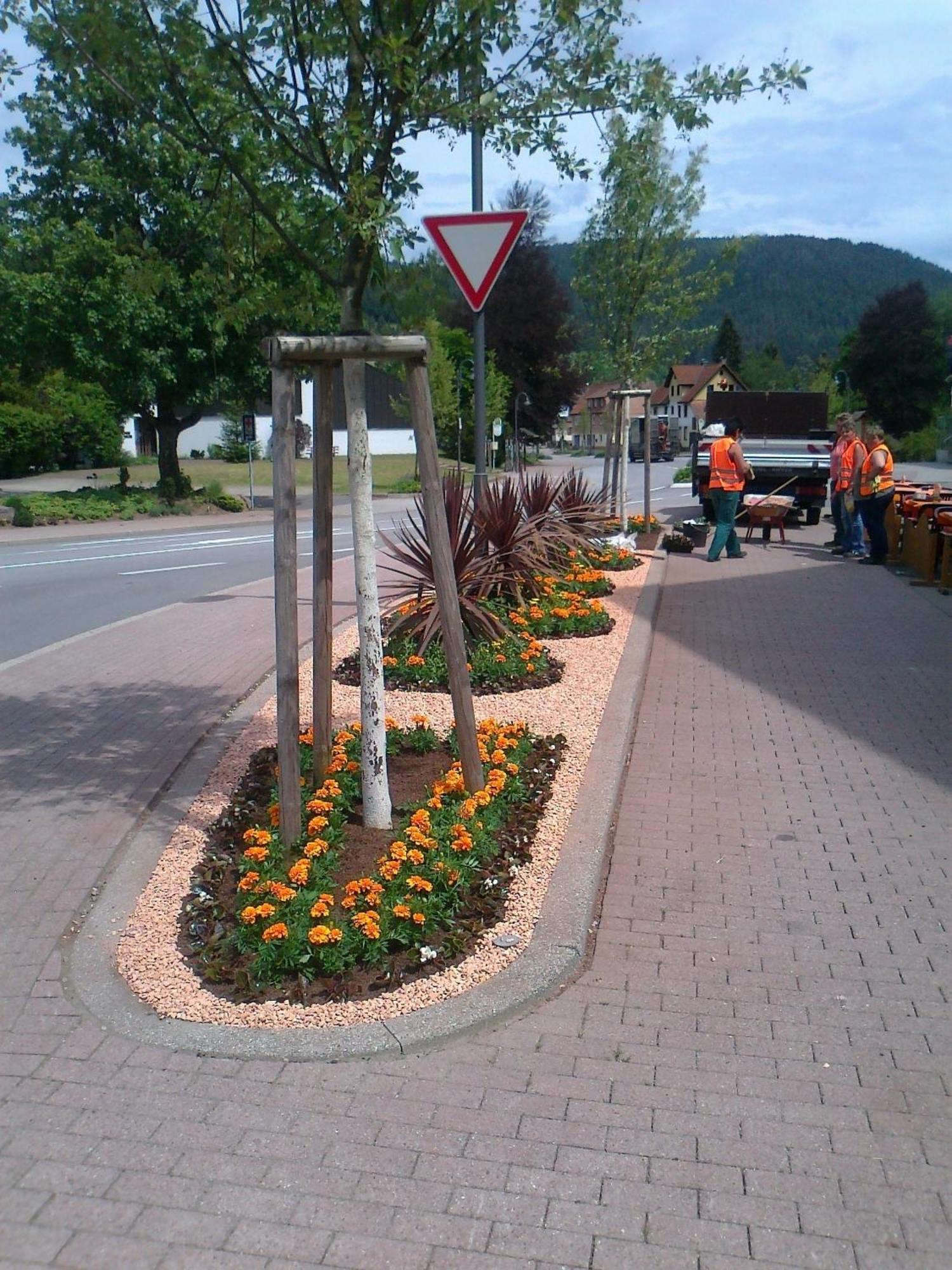 Hotel Garni Adler Post Baiersbronn