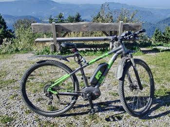 Garni Adler Post 3* Baiersbronn